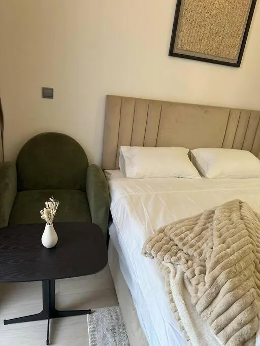 公寓 Chic And Cozy Studio 迪拜 阿拉伯联合酋长国